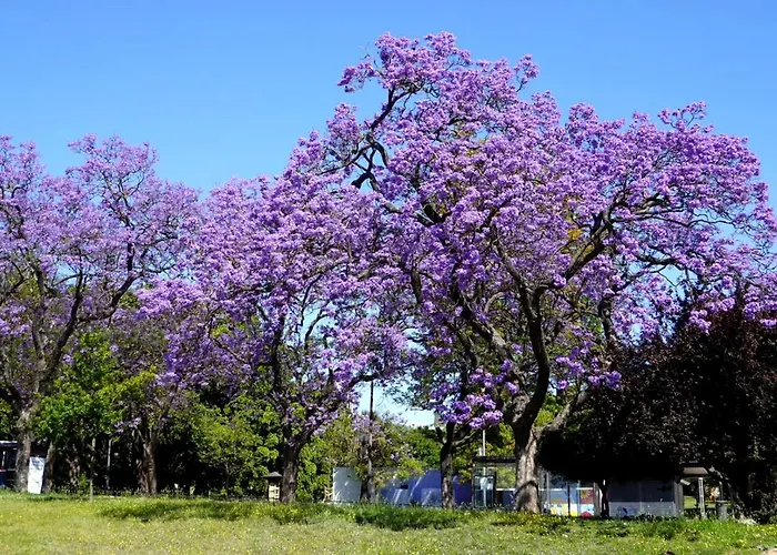 Heart Of Ocean Dulpex Lejlighed *